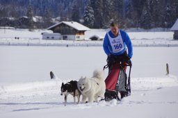 Lenk 2013